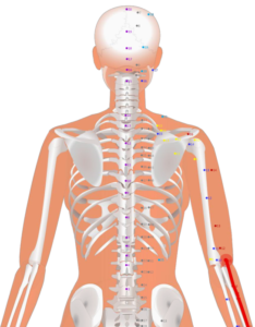 02 LI11 Quchi Pond at the Bend曲池