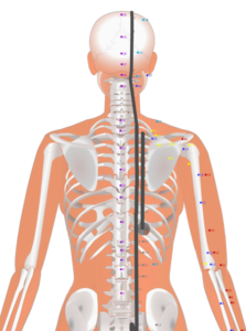 07 BL48 Yanggang Yang Principles 陽綱