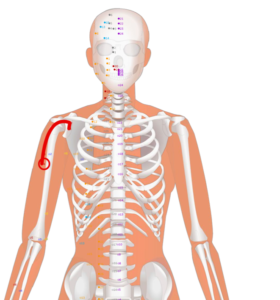 LU4 Xia Bai__Guarding White__俠白穴