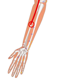 LU6 Kong Zui__Collection Hole__孔最穴