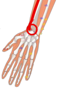 LU9 Tai Yuan__Great Source__太淵穴