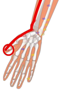 LU11 Shao Shan__Lesser Metal__少商穴